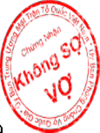 Dong dau khong so vo